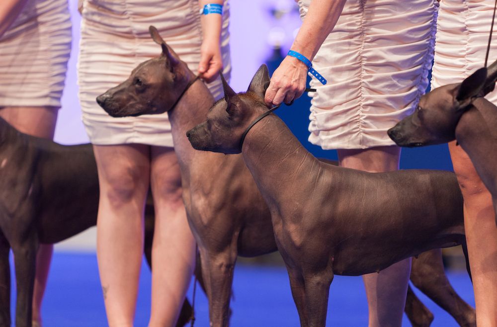 Question of the Week